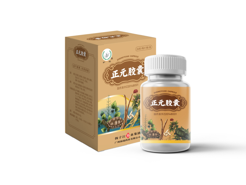 正元胶囊 正元胶囊