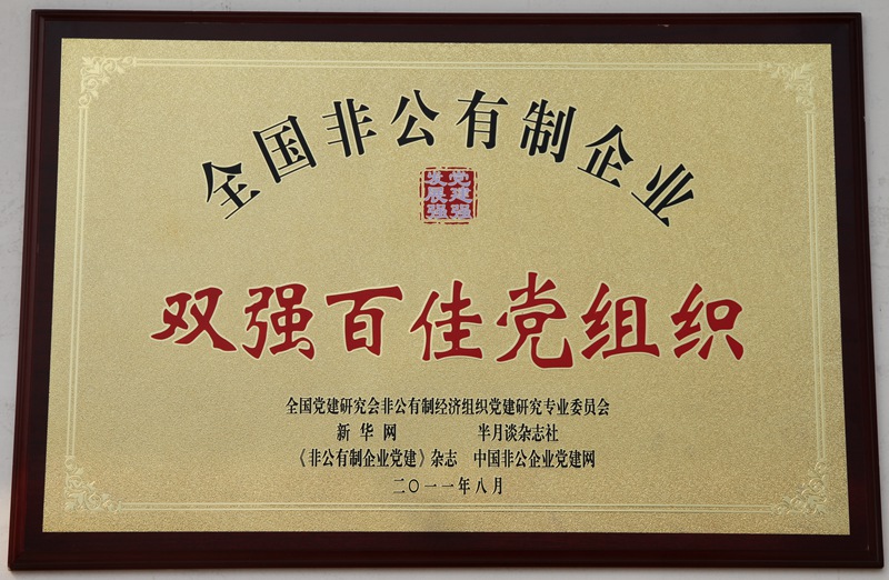 全国非公企业“双强百佳党组织”（2011）