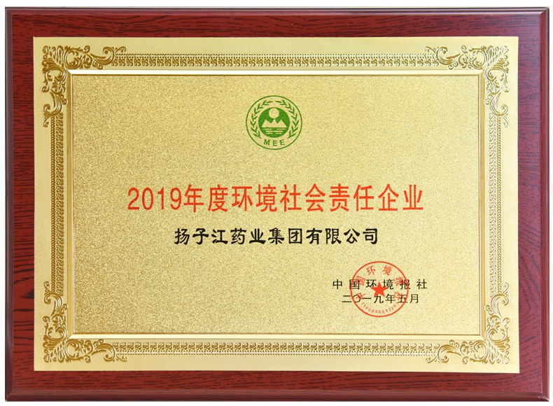 环境社会责任企业（2019）