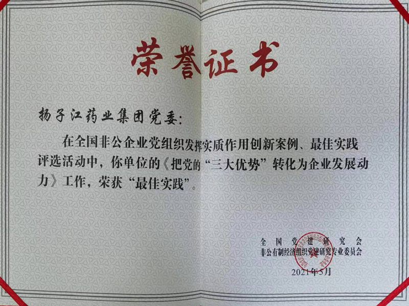 全国非公企业党组织发挥实质作用最佳实践（2021）