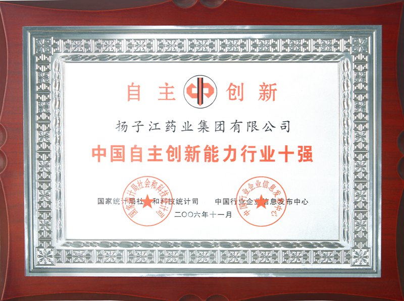 中国自主创新能力行业十强（2006）